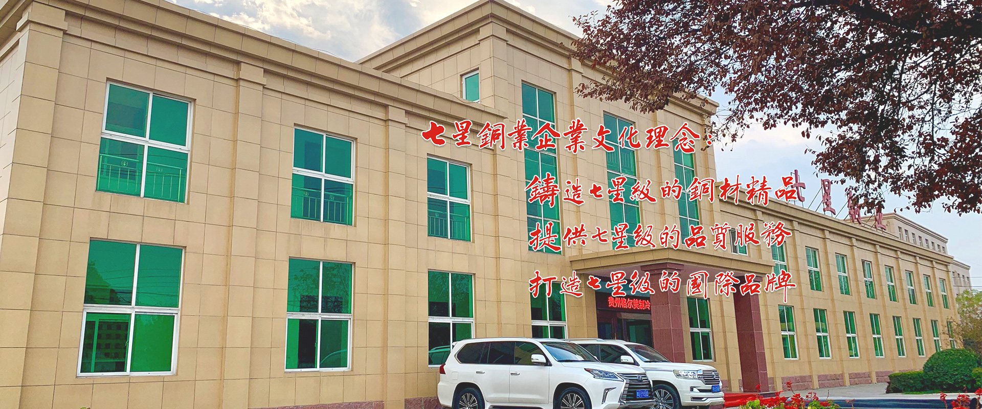 河南七星銅業有限公司